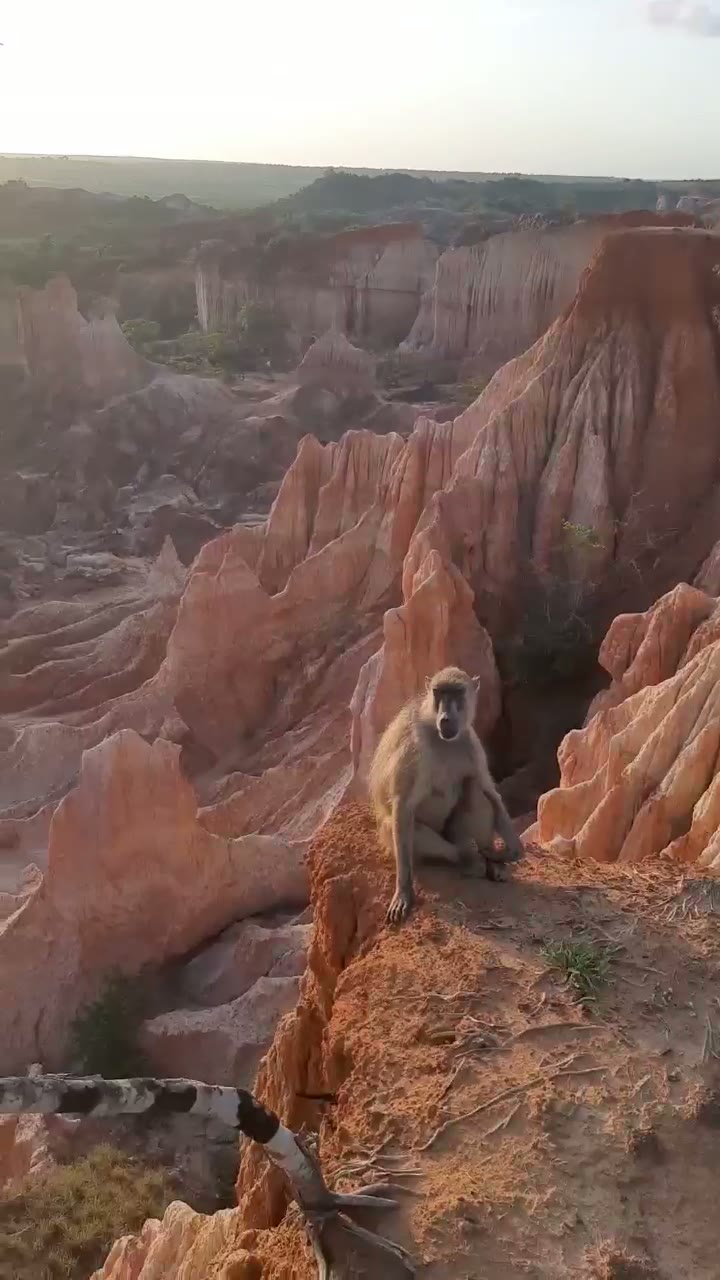 Video del canyon di Marafa