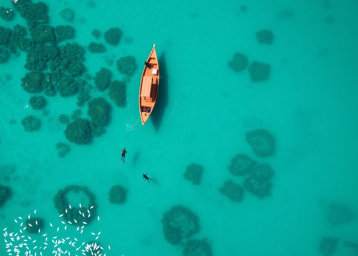 Safari Blu